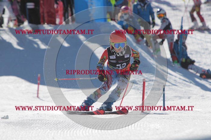 MAT_8732.JPG