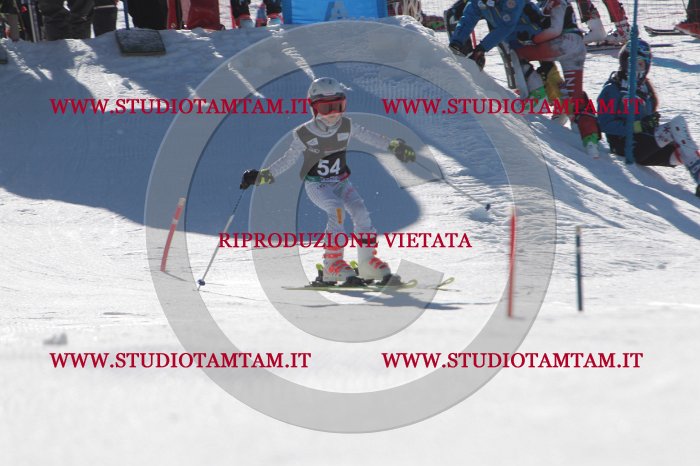 MAT_8743.JPG