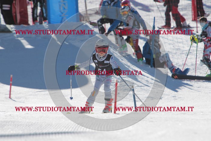 MAT_8745.JPG
