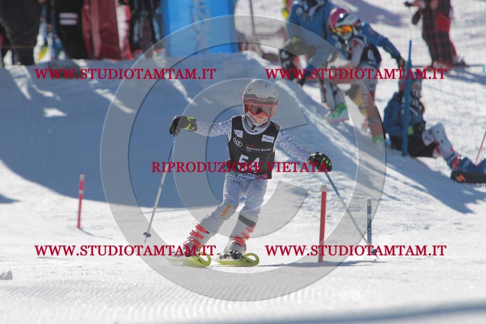 MAT_8747.JPG
