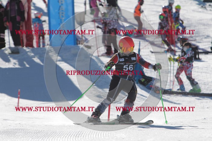 MAT_8783.JPG
