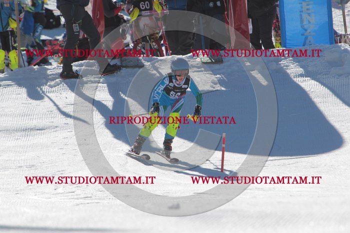 MAT_8828.JPG