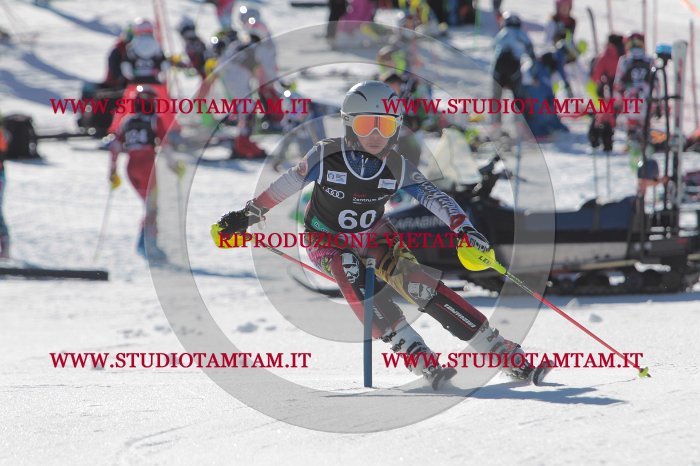 MAT_8849.JPG