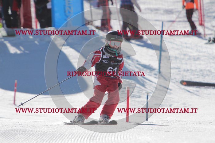 MAT_8861.JPG