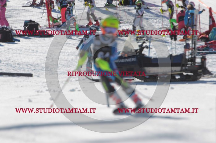 MAT_8909.JPG