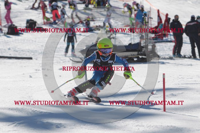 MAT_8910.JPG