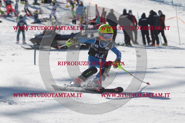 MAT_8912.JPG