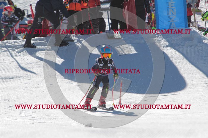 MAT_8938.JPG
