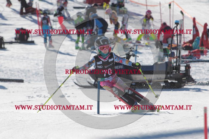 MAT_8997.JPG