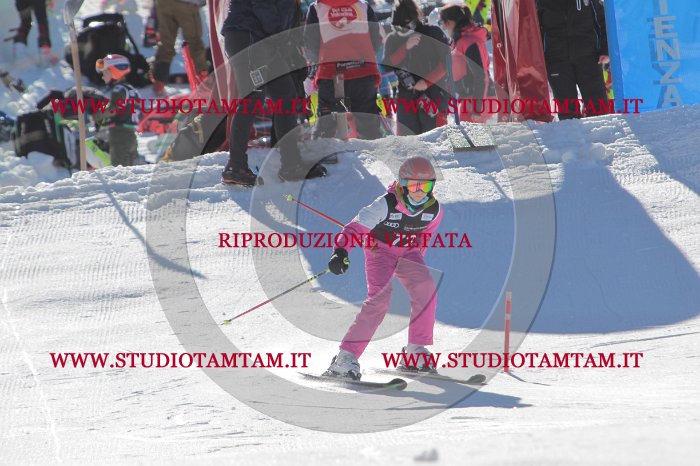 MAT_9021.JPG