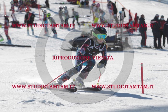 MAT_9047.JPG