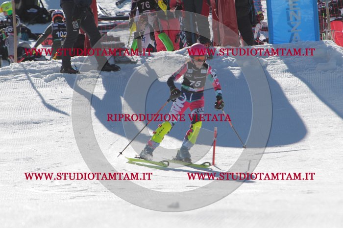 MAT_9055.JPG