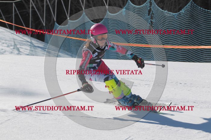 MAT_9064.JPG