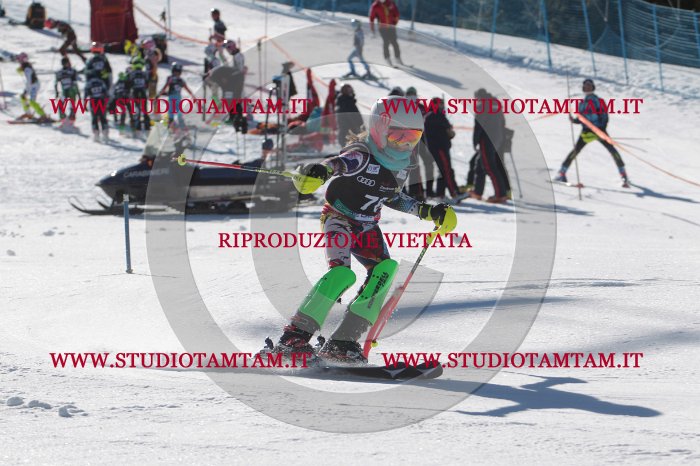MAT_9074.JPG