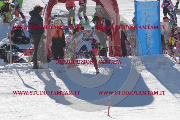 MAT_9078.JPG