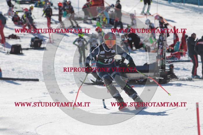MAT_9100.JPG