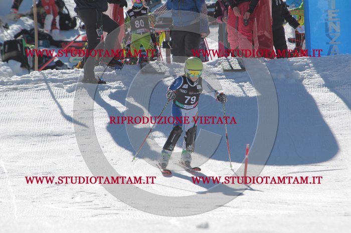 MAT_9108.JPG