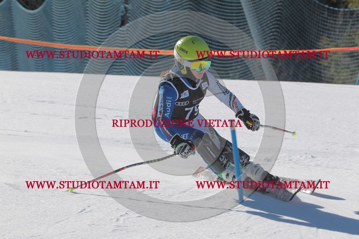 MAT_9119.JPG