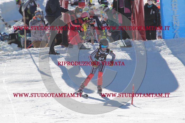 MAT_9136.JPG
