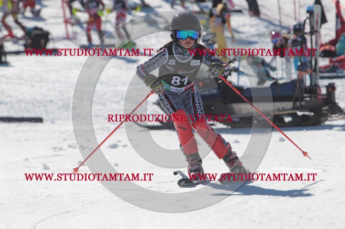 MAT_9140.JPG