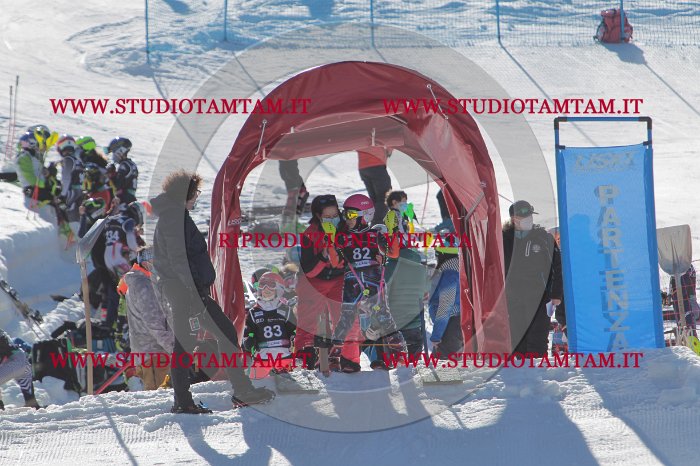 MAT_9147.JPG