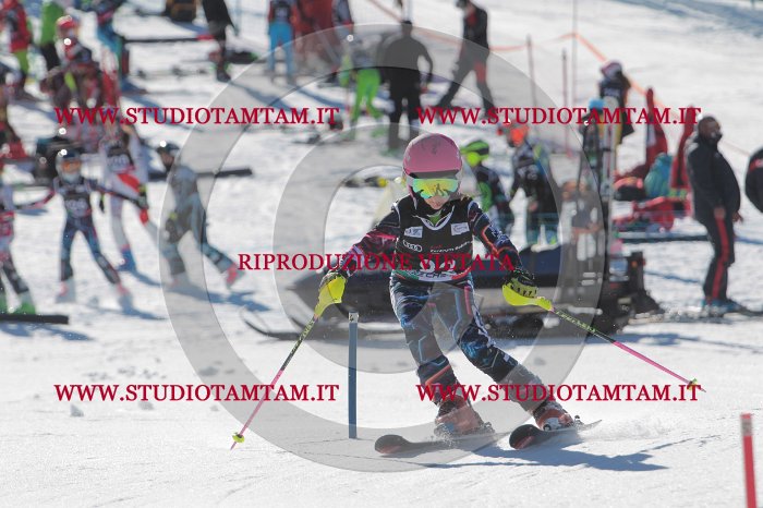 MAT_9156.JPG