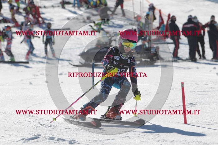 MAT_9157.JPG