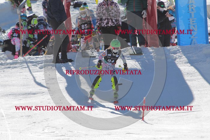 MAT_9175.JPG