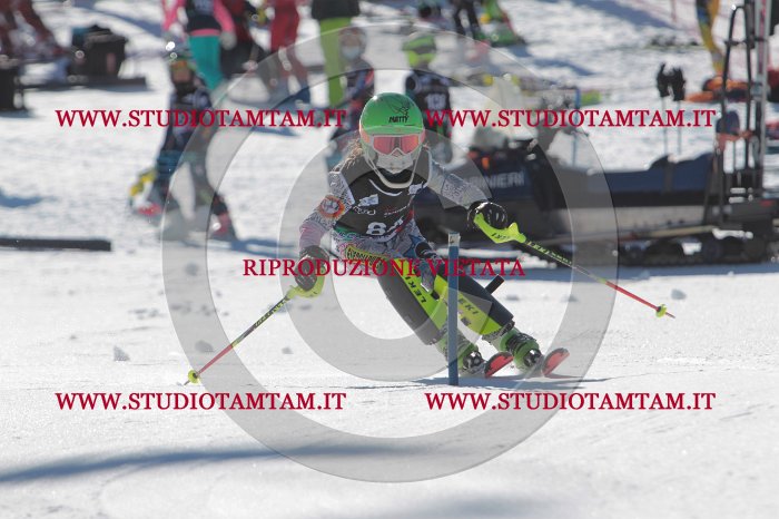 MAT_9180.JPG
