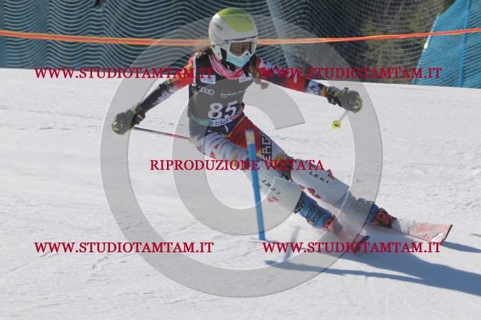 MAT_9199.JPG