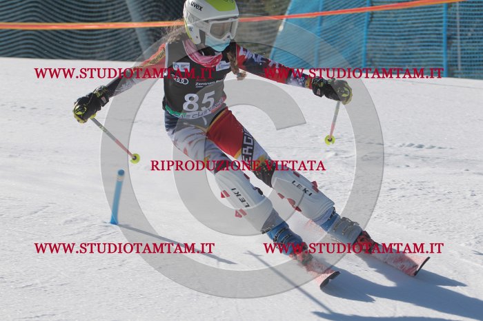 MAT_9200.JPG