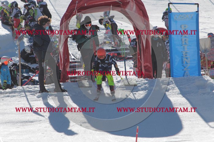 MAT_9230.JPG