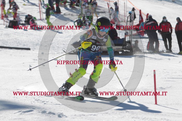 MAT_9262.JPG