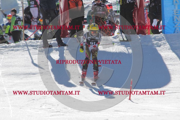 MAT_9268.JPG