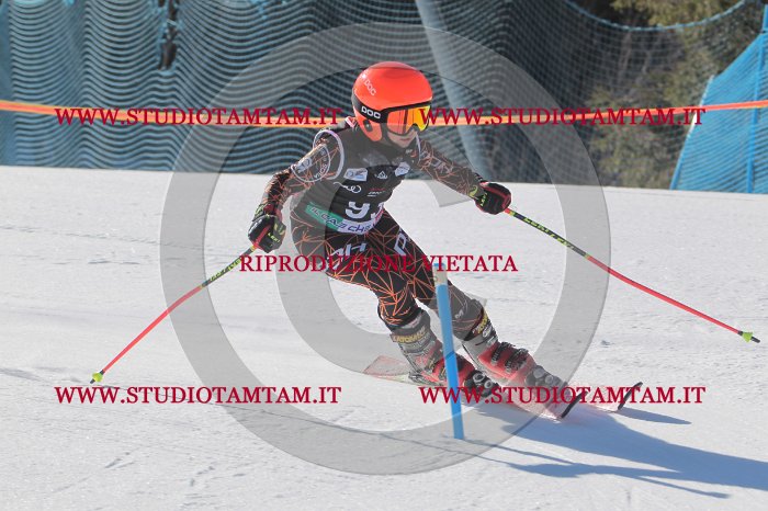 MAT_9302.JPG