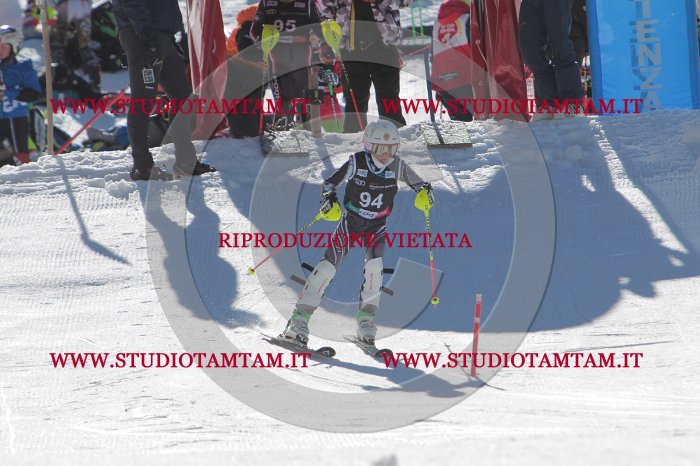 MAT_9306.JPG