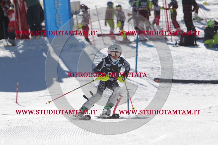 MAT_9309.JPG