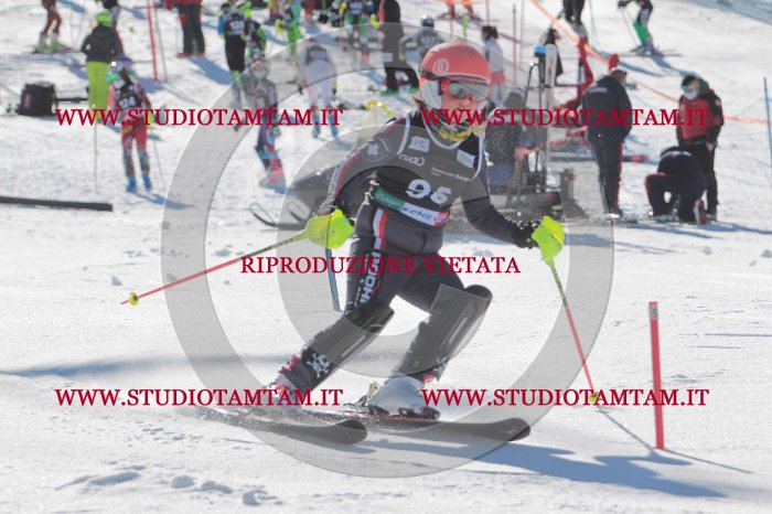MAT_9324.JPG