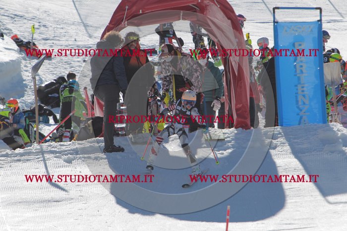 MAT_9361.JPG