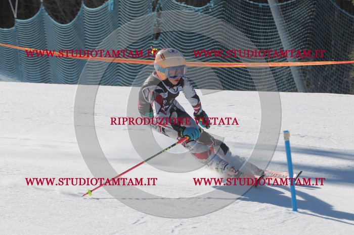 MAT_9370.JPG