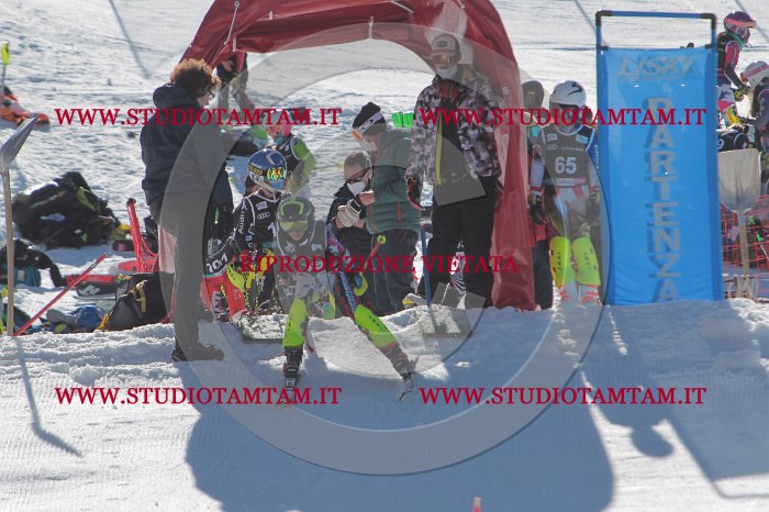 MAT_9373.JPG