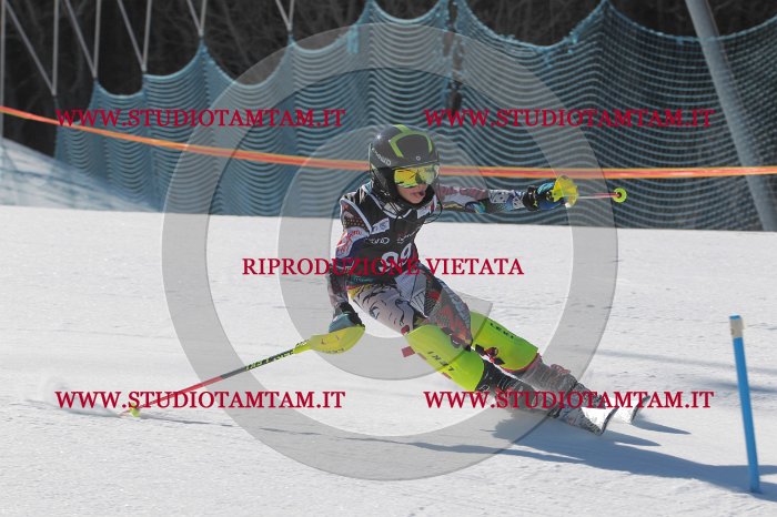 MAT_9385.JPG