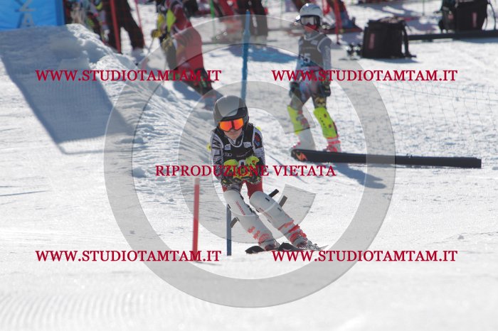 MAT_9406.JPG