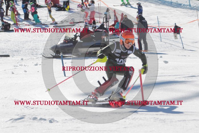 MAT_9429.JPG