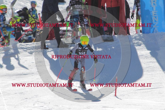 MAT_9466.JPG
