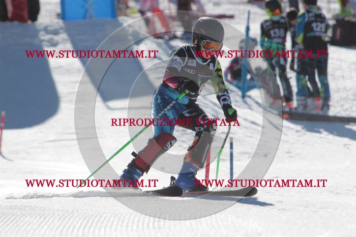 MAT_9481.JPG