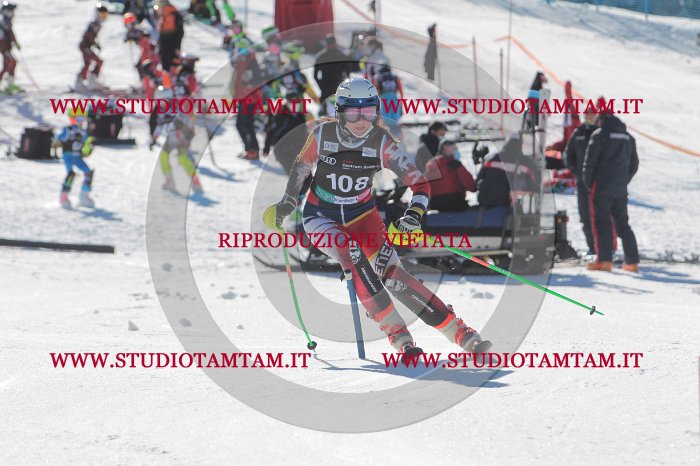 MAT_9512.JPG
