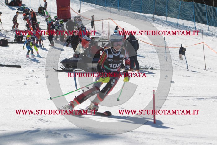 MAT_9513.JPG