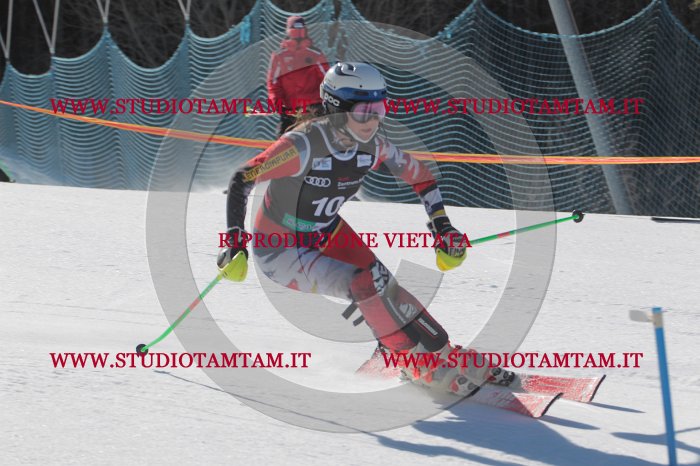 MAT_9516.JPG