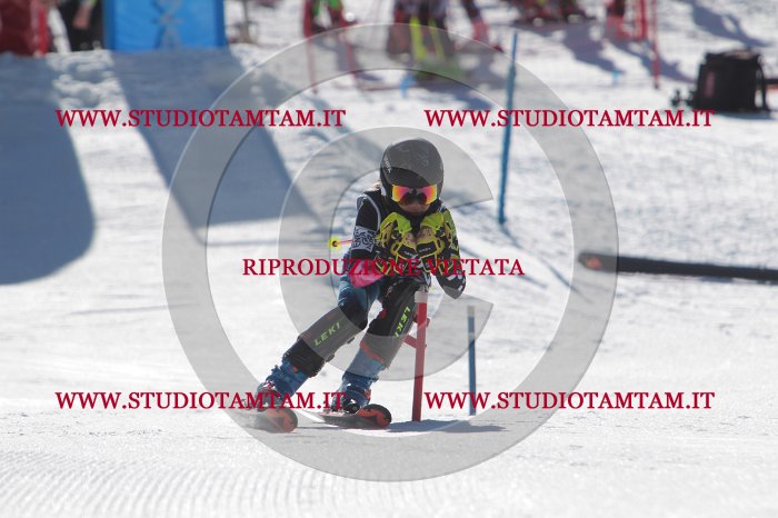 MAT_9525.JPG